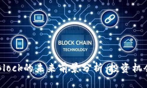 虚拟币Block的未来前景分析：投资机会与挑战
