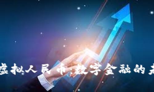 深入解析虚拟人民币：数字金融的未来与挑战
