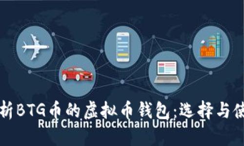 全面解析BTG币的虚拟币钱包：选择与使用指南