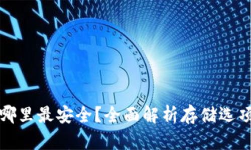 虚拟币存哪里最安全？全面解析存储选项与安全性