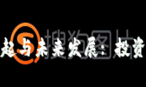 冰岛虚拟币的崛起与未来发展: 投资机会与风险分析