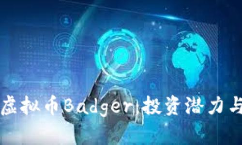 深入了解虚拟币Badger：投资潜力与市场分析