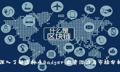 深入了解虚拟币Badger：投资潜力与市场分析