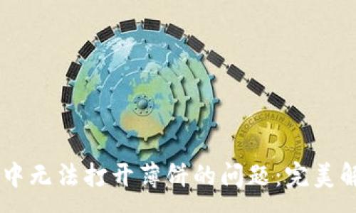 :
如何解决TPWallet中无法打开薄饼的问题：完美解决方案与用户指南