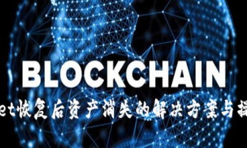 TPWallet恢复后资产消失的解决方案与操作指南