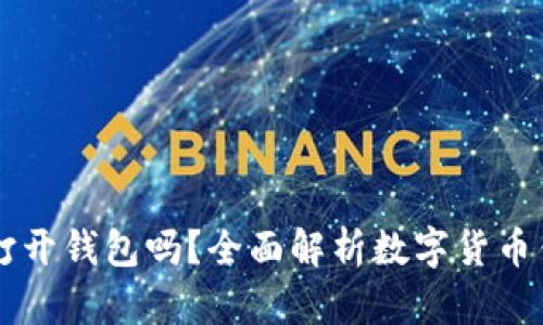 只有助记词可以打开钱包吗？全面解析数字货币钱包的安全与使用