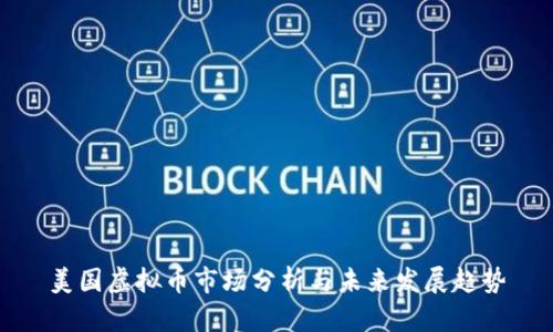 美国虚拟币市场分析与未来发展趋势