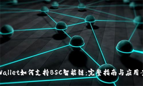 TPWallet如何支持BSC智能链：完整指南与应用案例