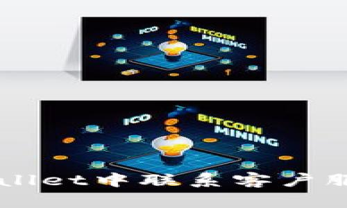 如何在TP Wallet中联系客户服务？完整指南