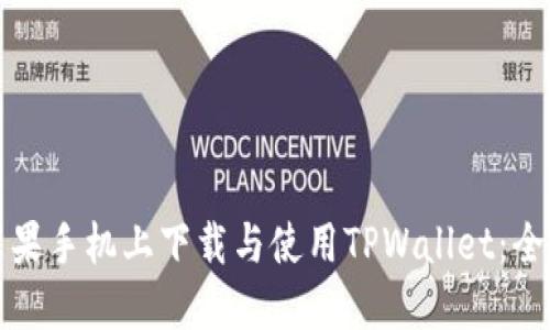 如何在苹果手机上下载与使用TPWallet：全方位指南