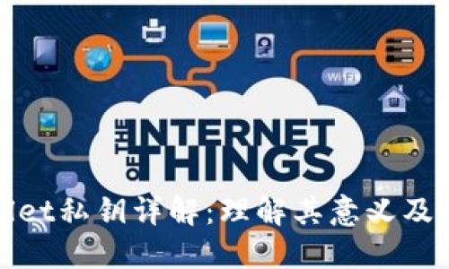 TPWallet私钥详解：理解其意义及重要性