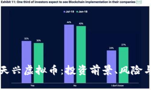 深度剖析天兴虚拟币：投资前景、风险与市场动态