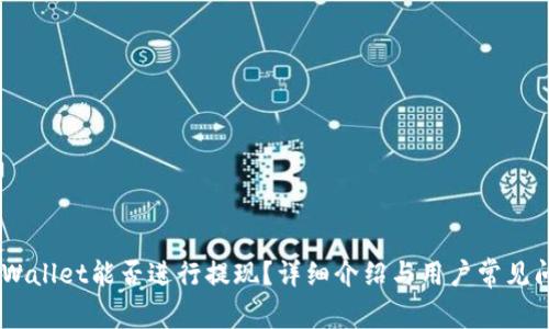 ## TPWallet能否进行提现？详细介绍与用户常见问题解答